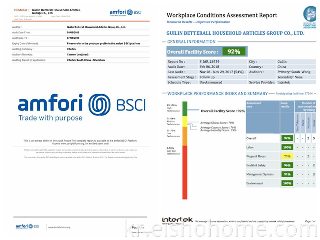 2018 BSCI Report